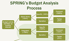SPRING budget analysis graphic
