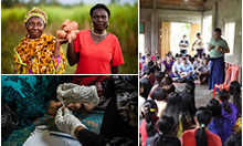Thumbnail featuring images from Feed The Future and USAID